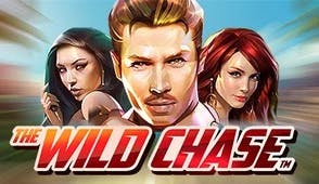 Tthe Wild Chase game